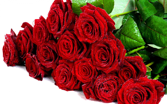 Buket-fresh-red-roses-Flower-Wallpaper-Hd-1920x1200